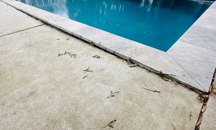 Pool deck lifting and repair Pool deck lifting and repair